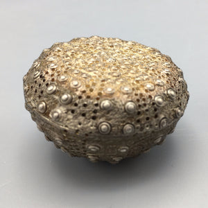 Janna Thomas Sterling Silver Figural Sea Anemone Tea Ball